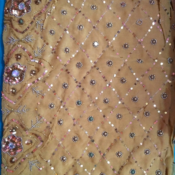 Heavy sequined saree